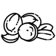 "shea" icon "shea" icon