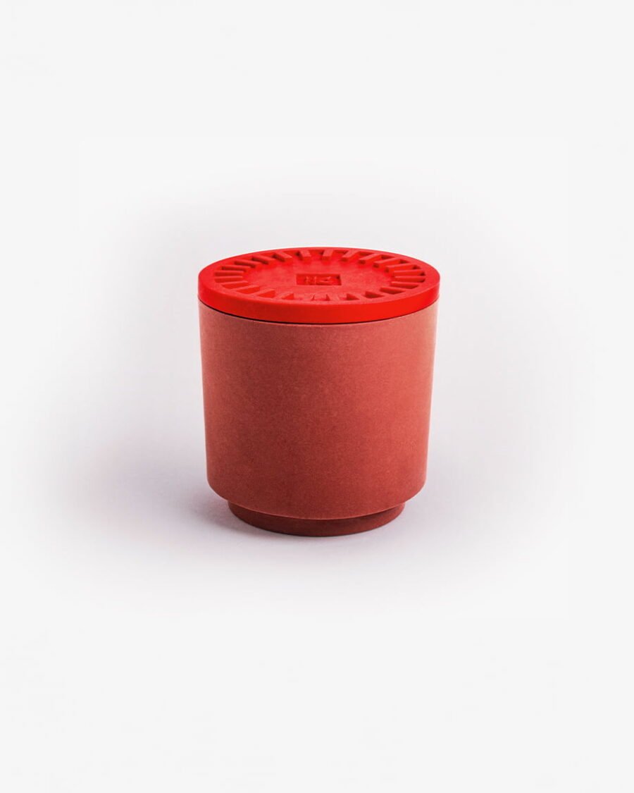 WILD BERRIES Scented Candle - Fruity Aroma and Multipurpose Design