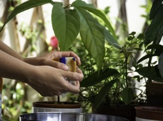 Copie de DSC_3334 copy